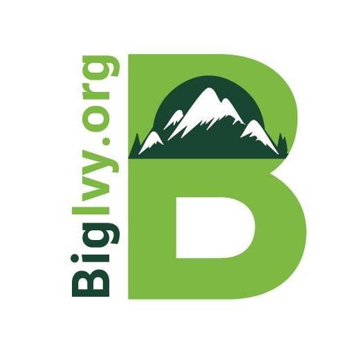 Big Ivy Business Connect | Barnardsville Weaverville Mars Hill NC Business Directory